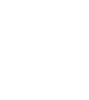 CTA Icon